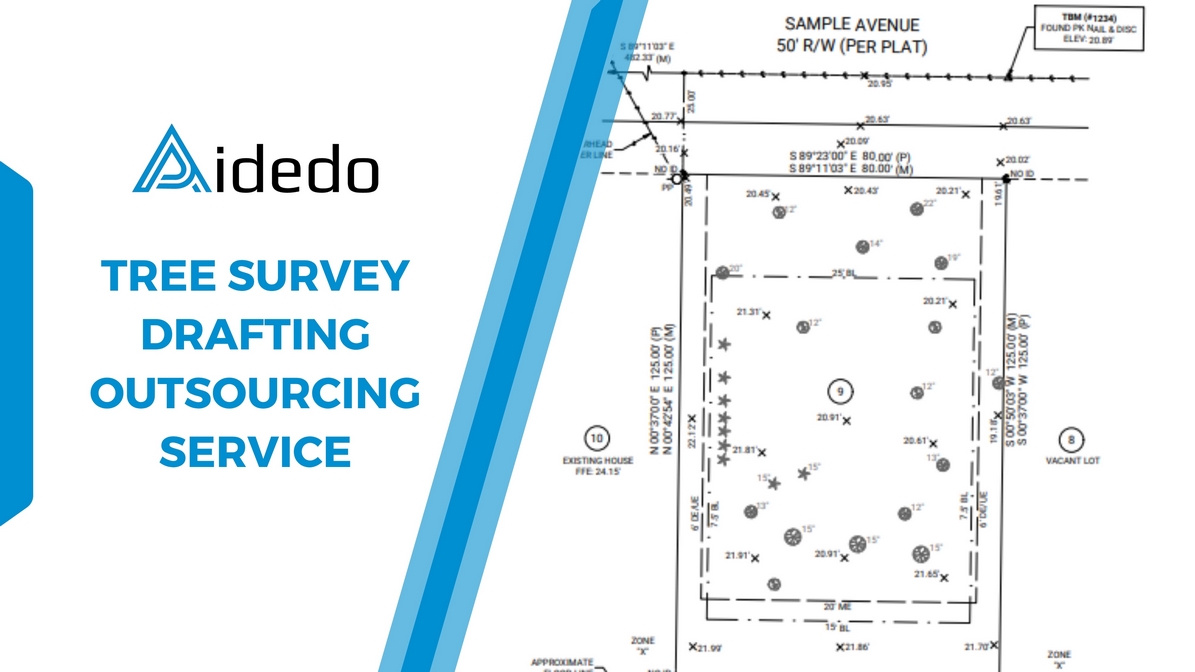 tree survey drafting outsourcing service