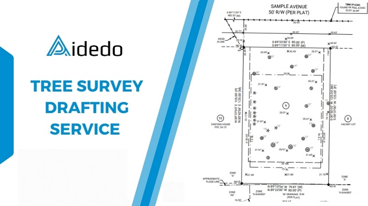 tree survey drafting service 01